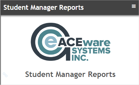 Report Wizard Help