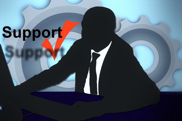 Support and Maintenance